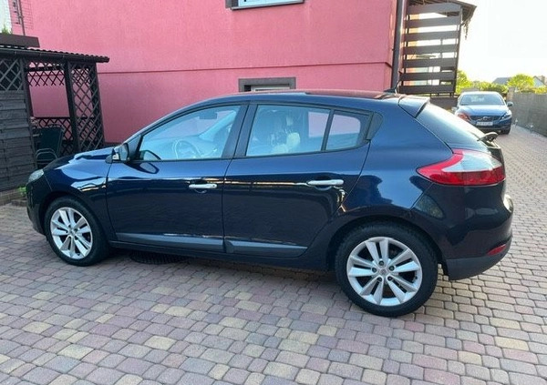 Renault Megane cena 19900 przebieg: 194578, rok produkcji 2010 z Ryki małe 137